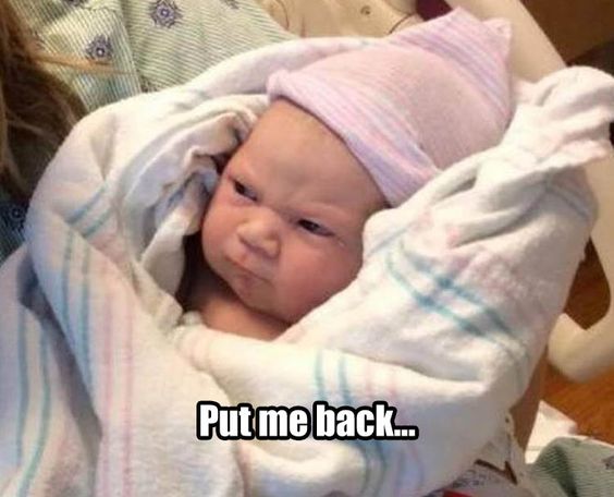 baby back