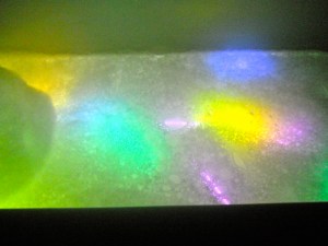 DSCN0306