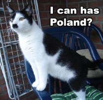 I can haz Poland Hitler Cat